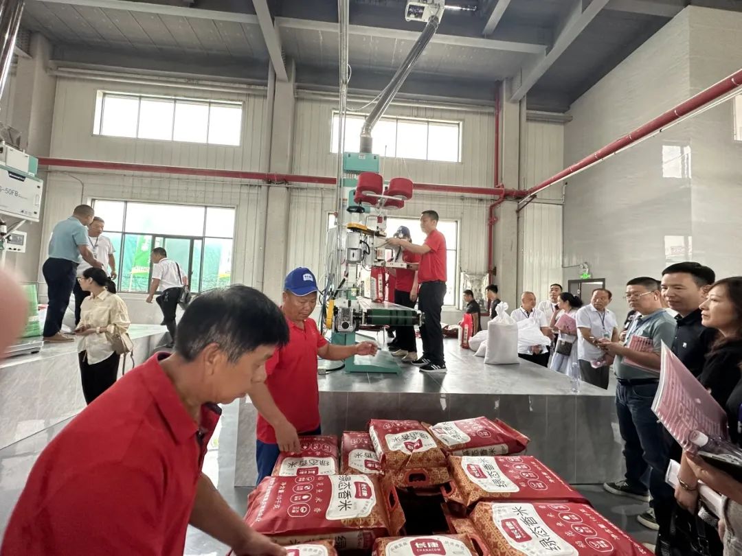 精品久久久久久无码人妻