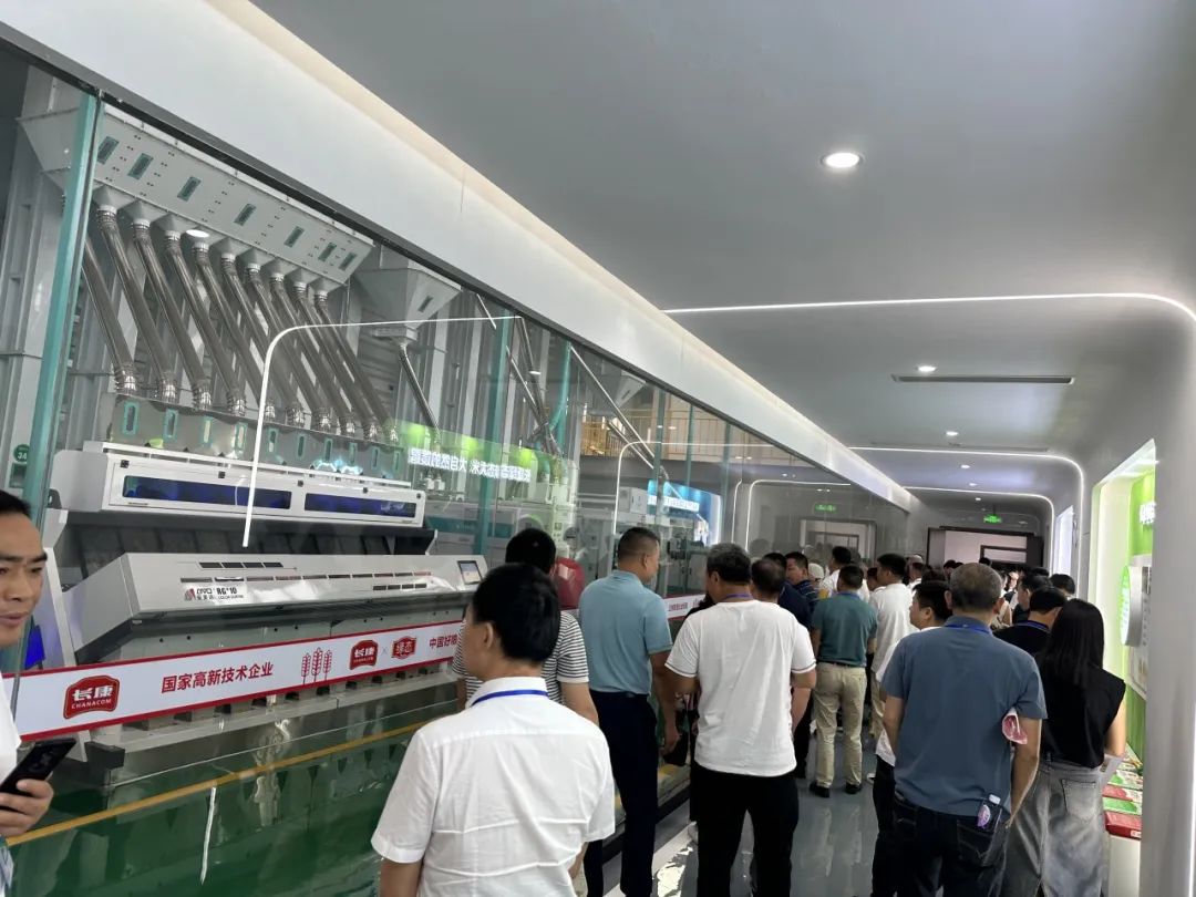 精品久久久久久无码人妻