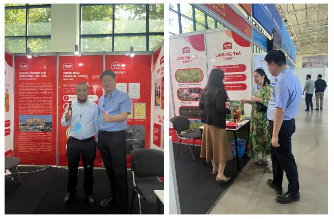 精品久久久久久无码人妻