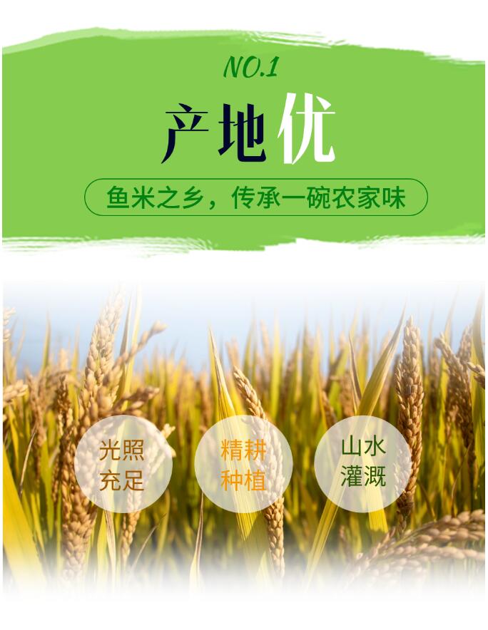 精品久久久久久无码人妻