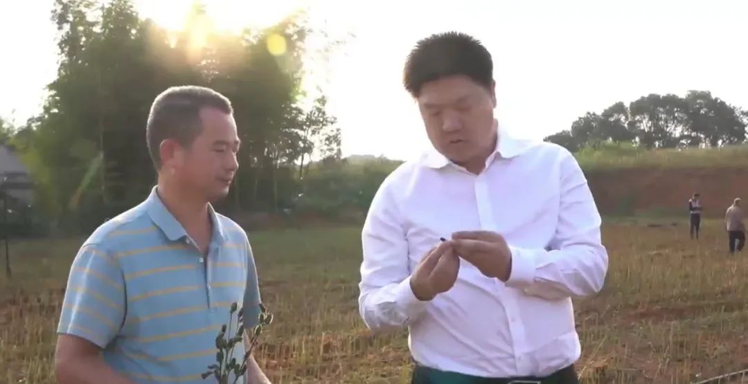 精品久久久久久无码人妻