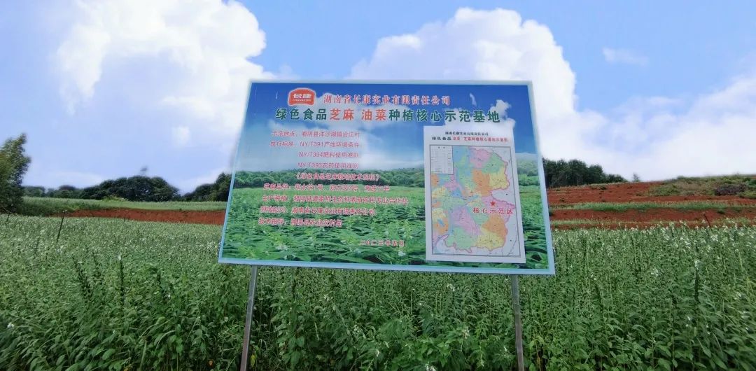 精品久久久久久无码人妻