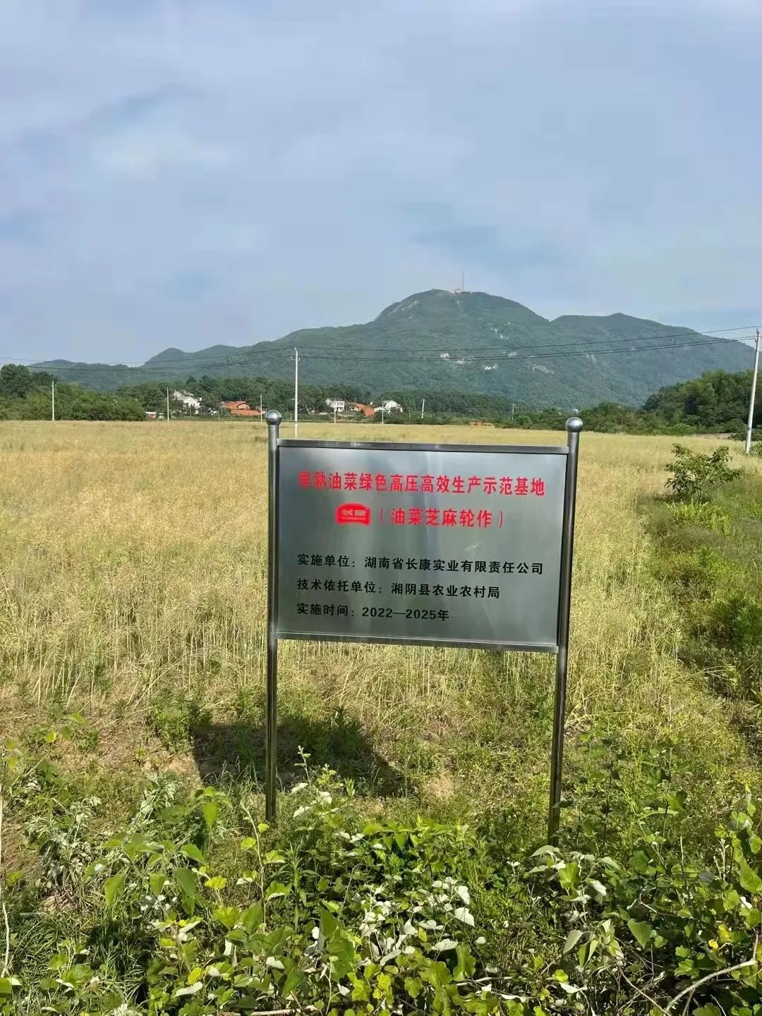 精品久久久久久无码人妻