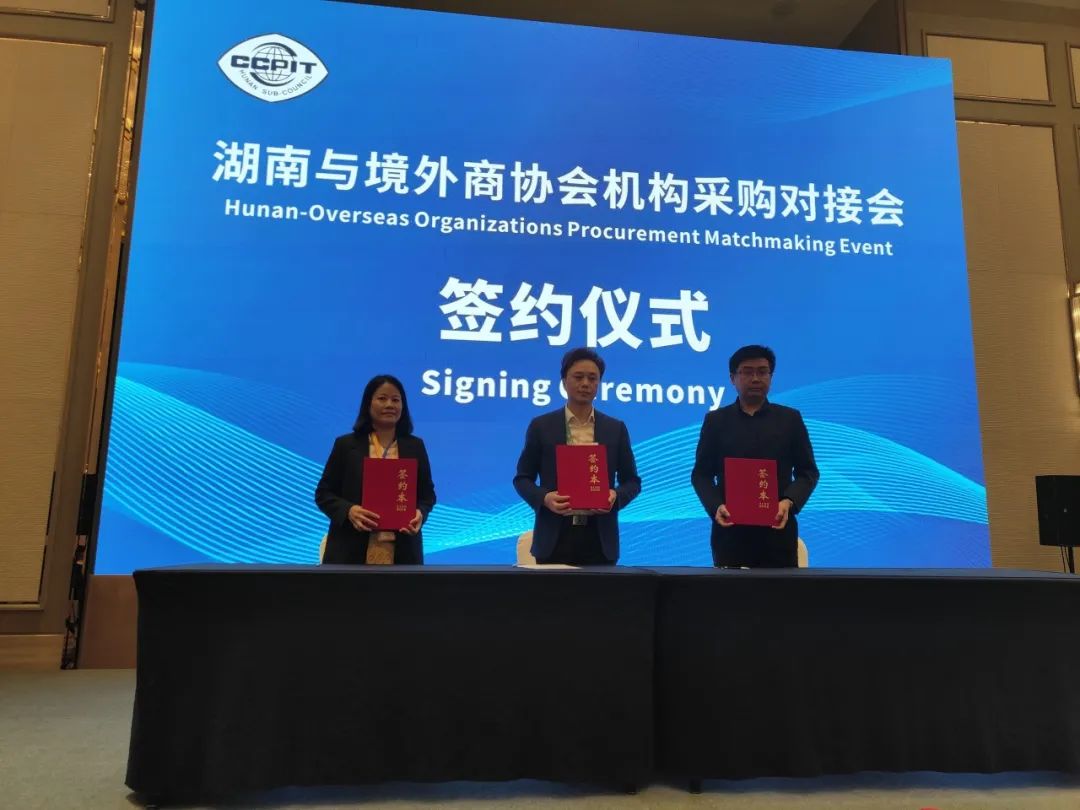 精品久久久久久无码人妻