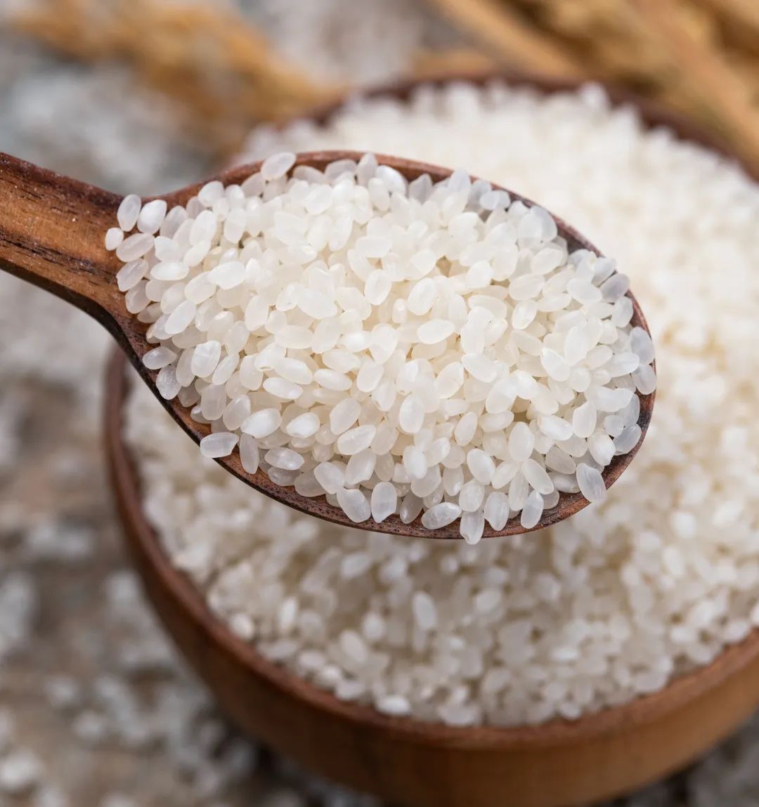 精品久久久久久无码人妻