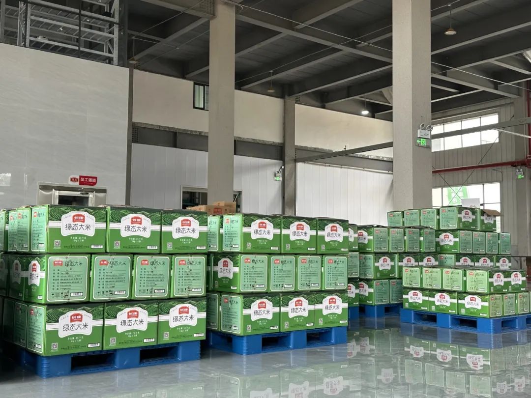 精品久久久久久无码人妻