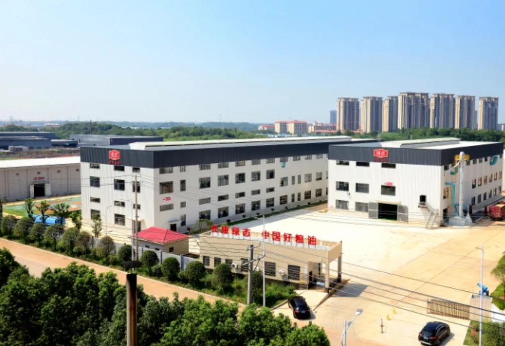 精品久久久久久无码人妻