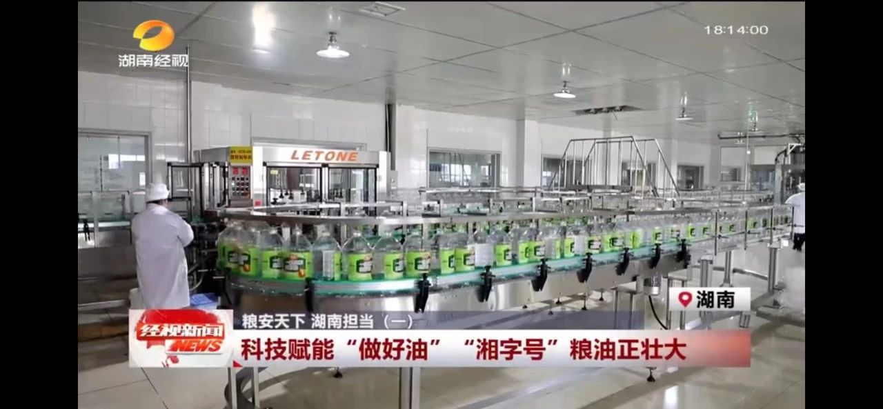 精品久久久久久无码人妻