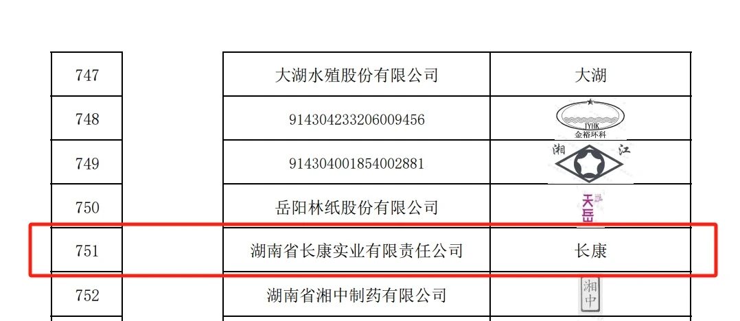 精品久久久久久无码人妻