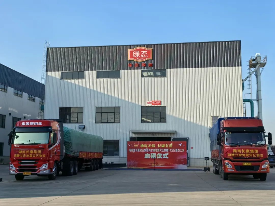 精品久久久久久无码人妻