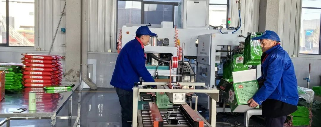 精品久久久久久无码人妻