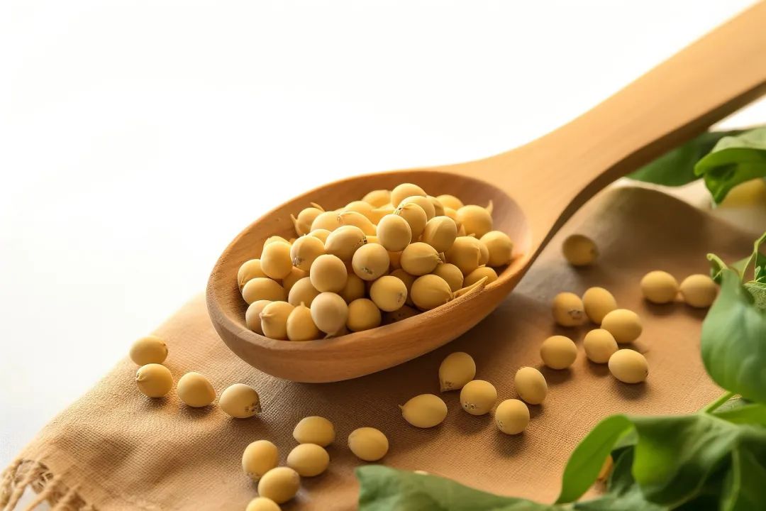 精品久久久久久无码人妻