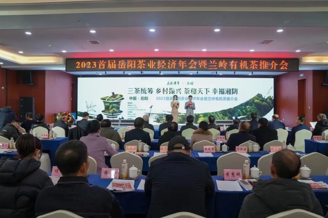 精品久久久久久无码人妻