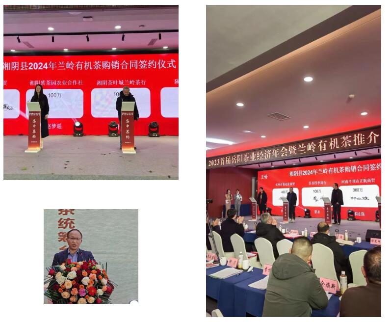 精品久久久久久无码人妻