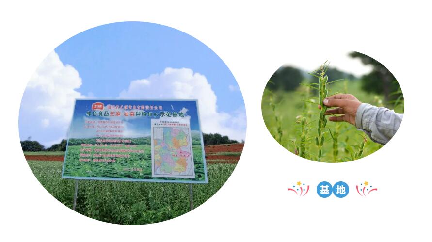 精品久久久久久无码人妻