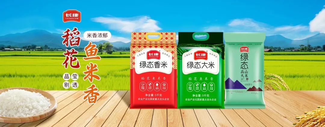 精品久久久久久无码人妻