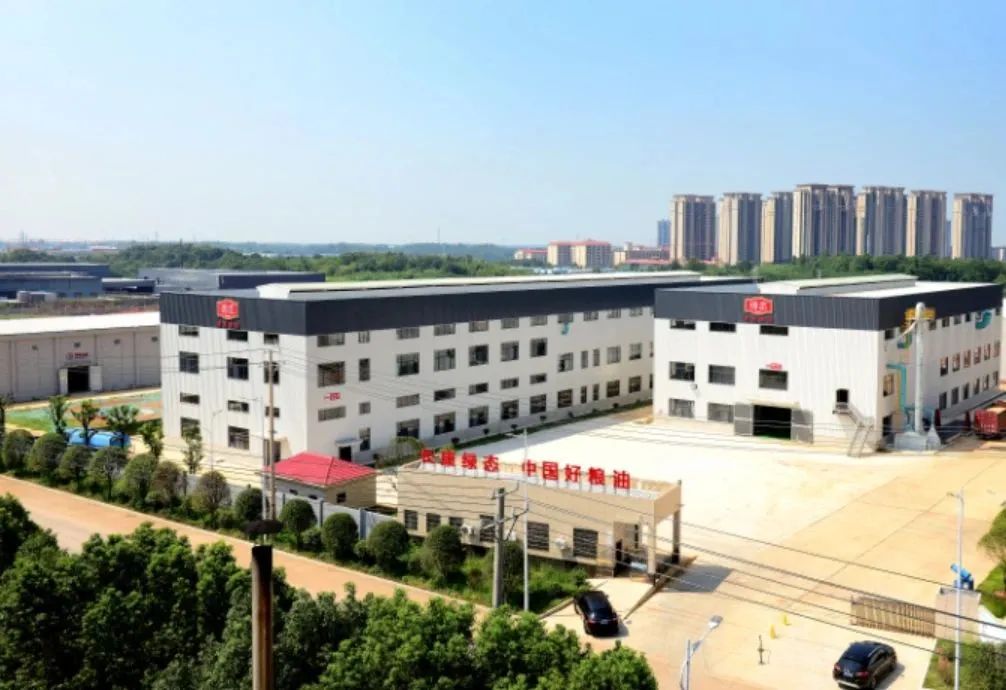 精品久久久久久无码人妻