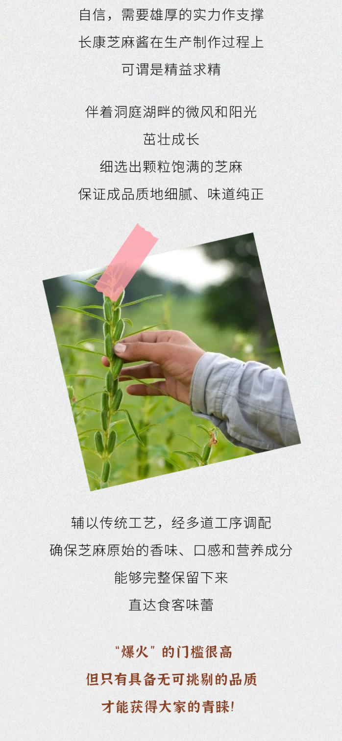 精品久久久久久无码人妻