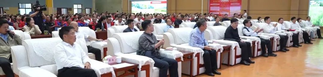 精品久久久久久无码人妻