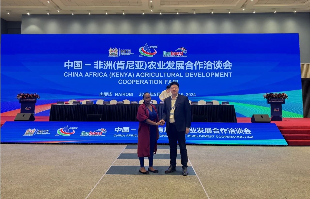 精品久久久久久无码人妻