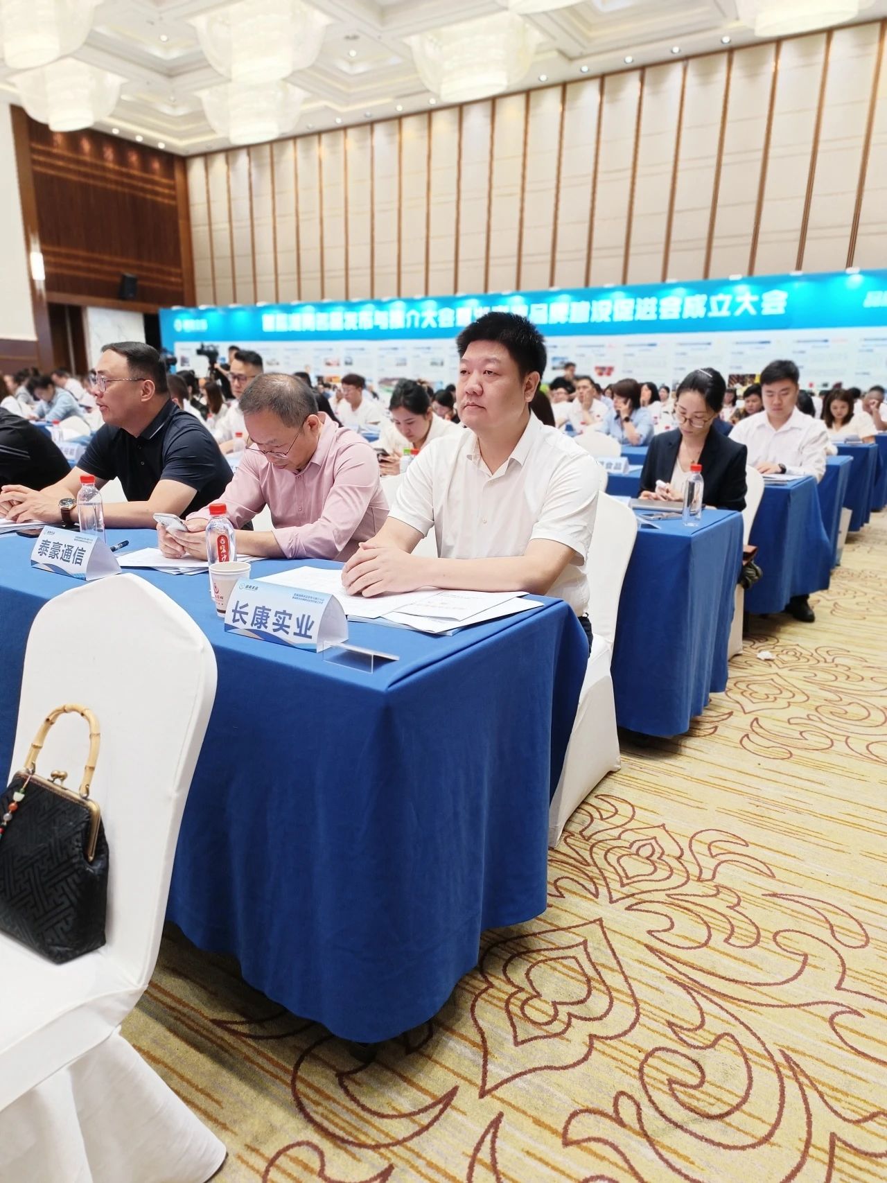 精品久久久久久无码人妻