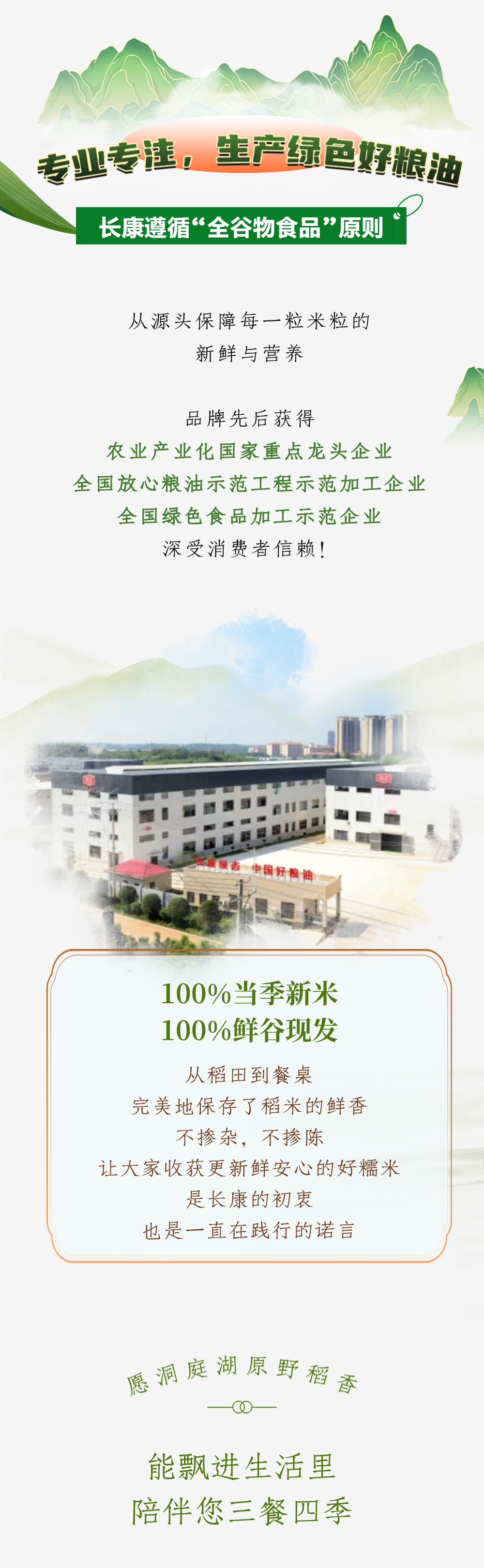 精品久久久久久无码人妻