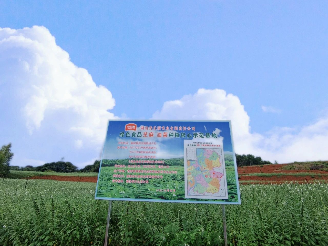 精品久久久久久无码人妻