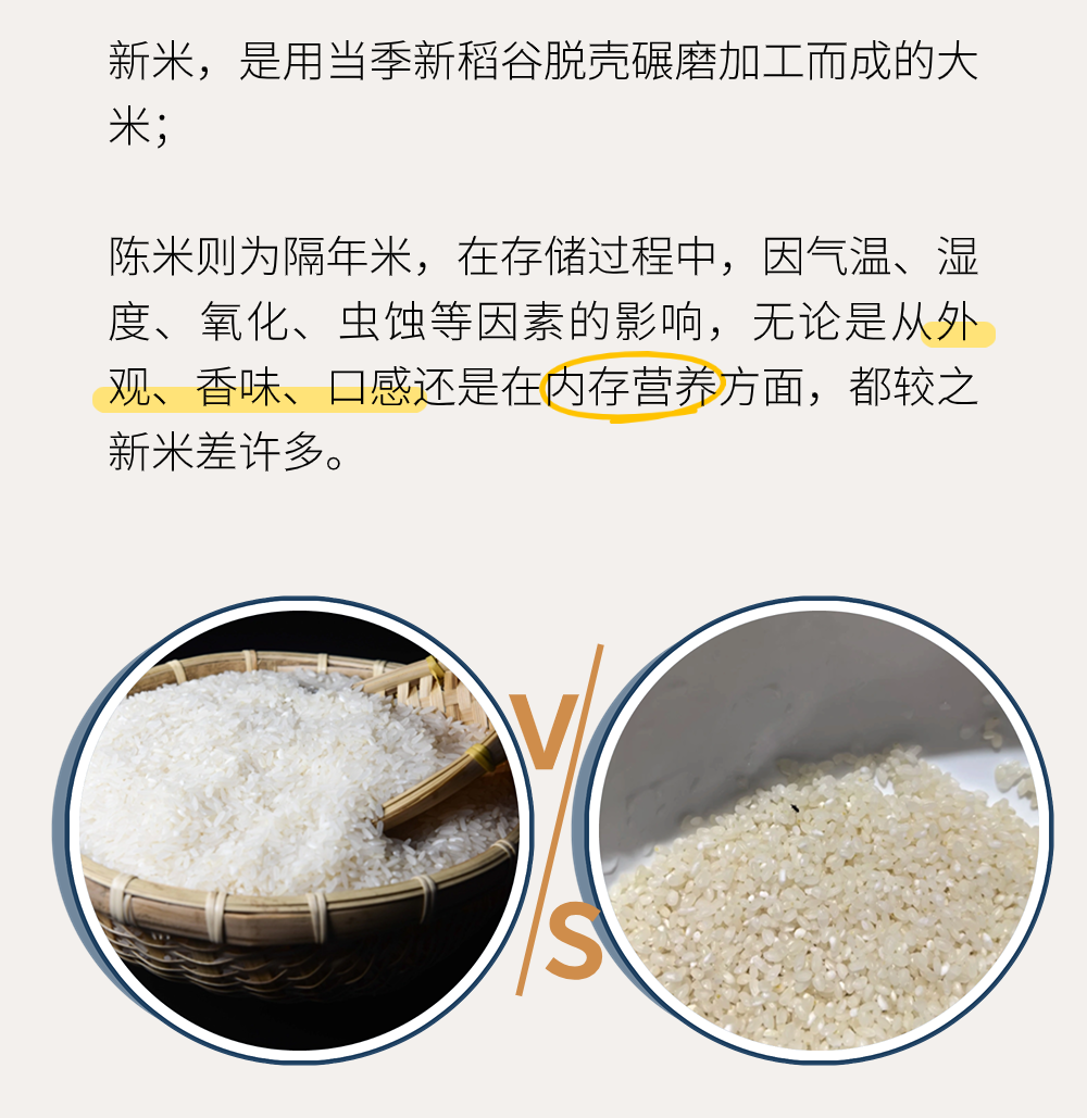 精品久久久久久无码人妻