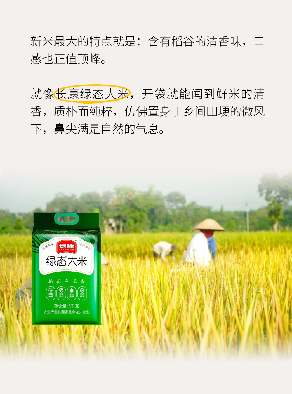 精品久久久久久无码人妻