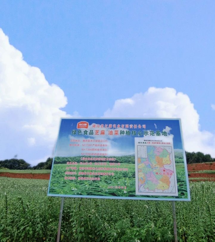 精品久久久久久无码人妻