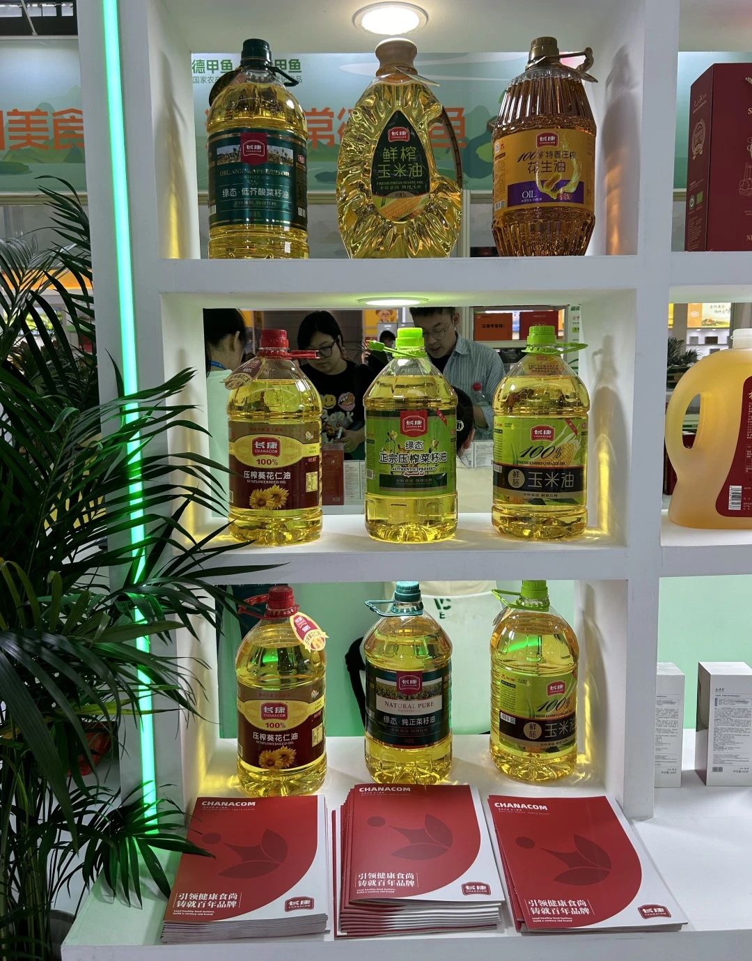 精品久久久久久无码人妻