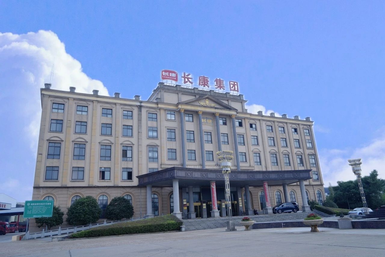 精品久久久久久无码人妻