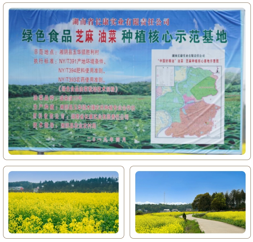 精品久久久久久无码人妻