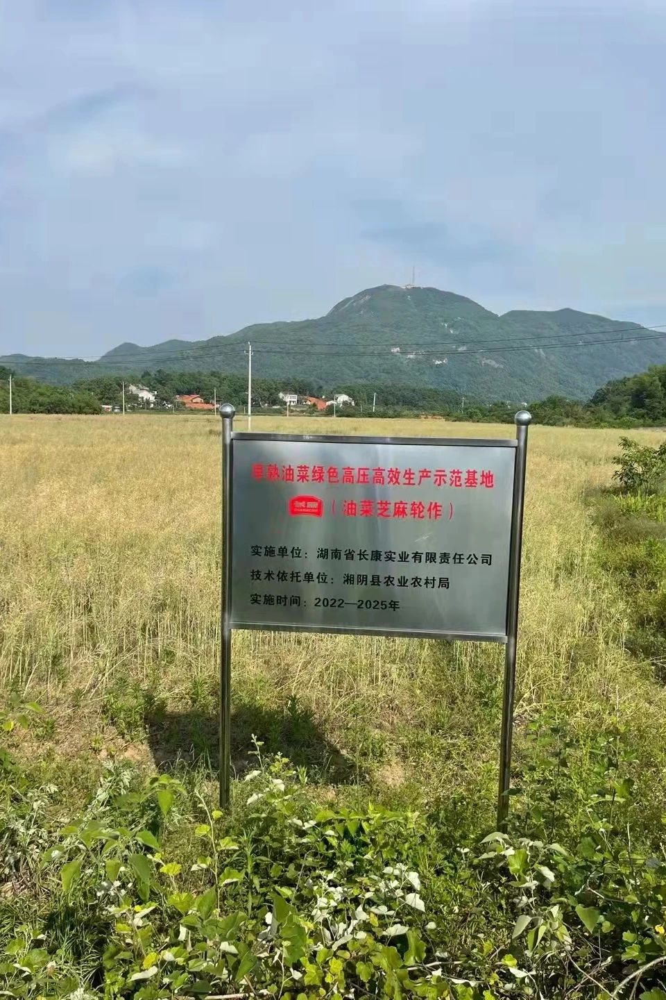 精品久久久久久无码人妻