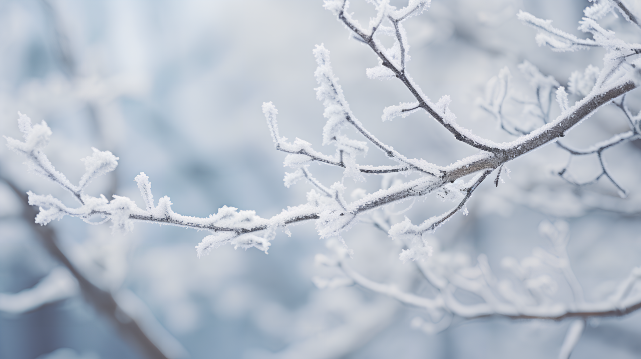 发朦？絮状物？分层？这花生油还能吃吗？
