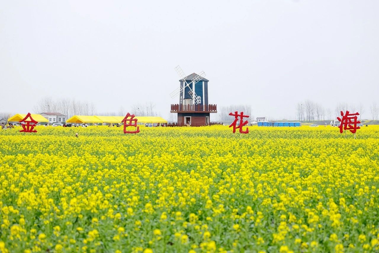 精品久久久久久无码人妻