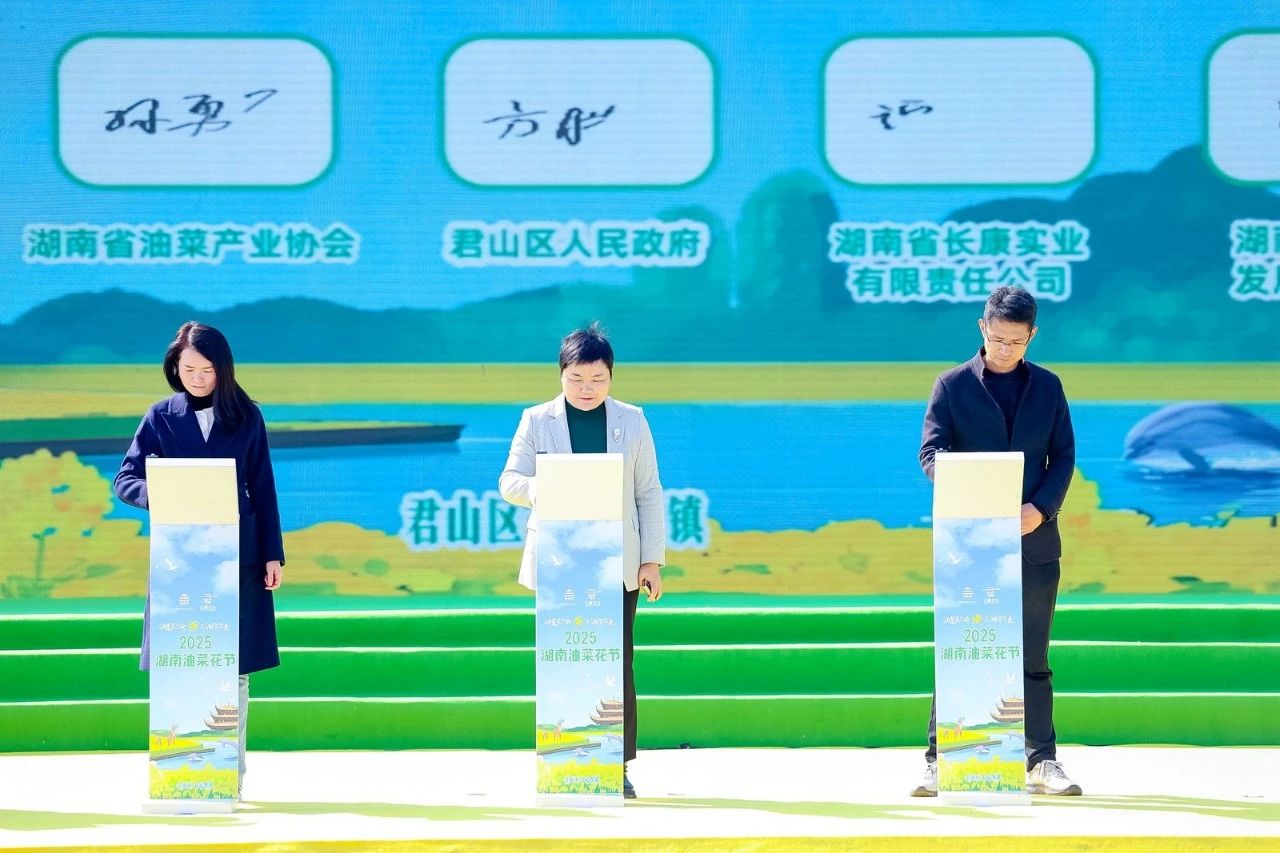 精品久久久久久无码人妻