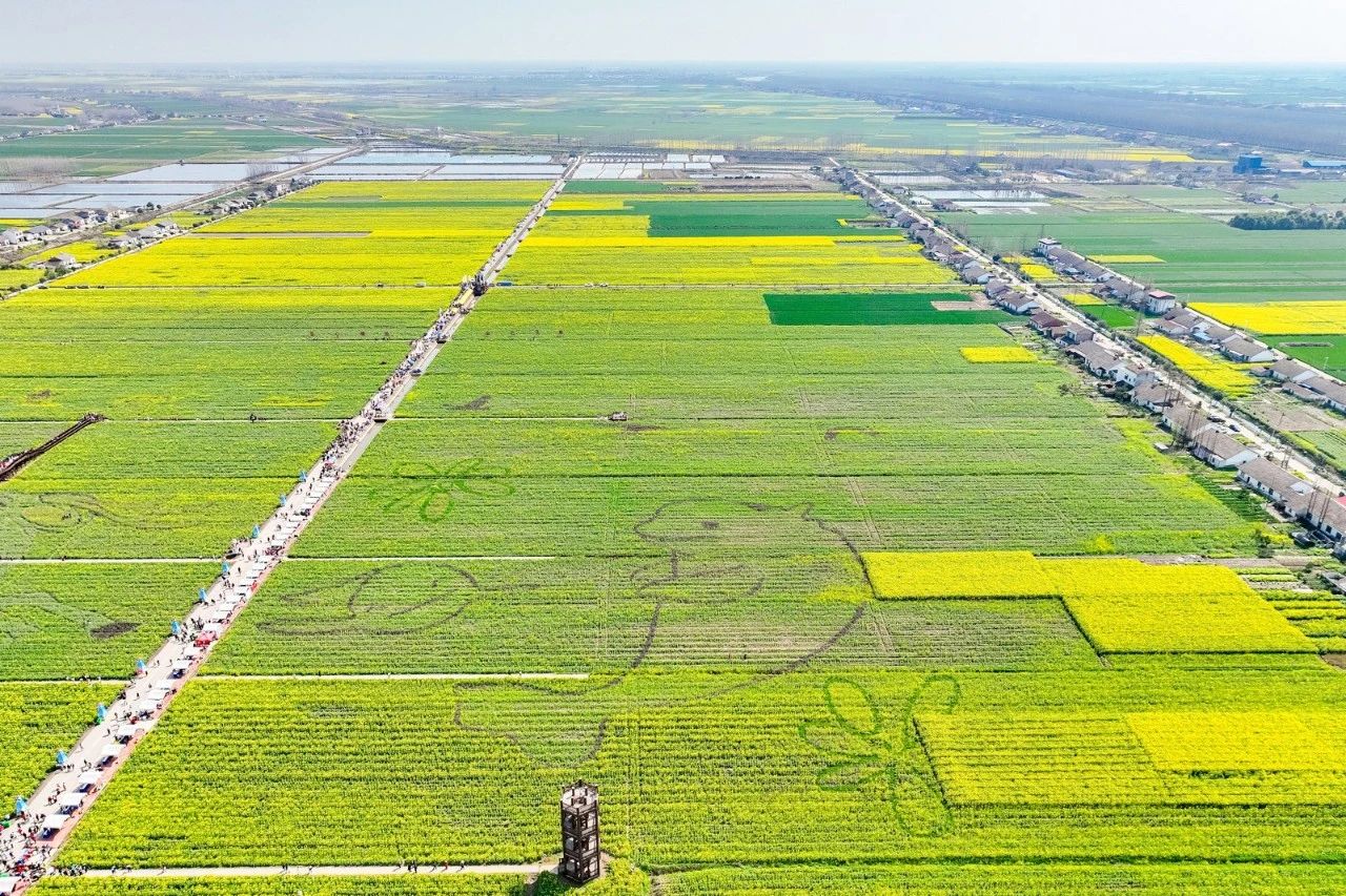 精品久久久久久无码人妻