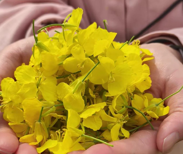 精品久久久久久无码人妻