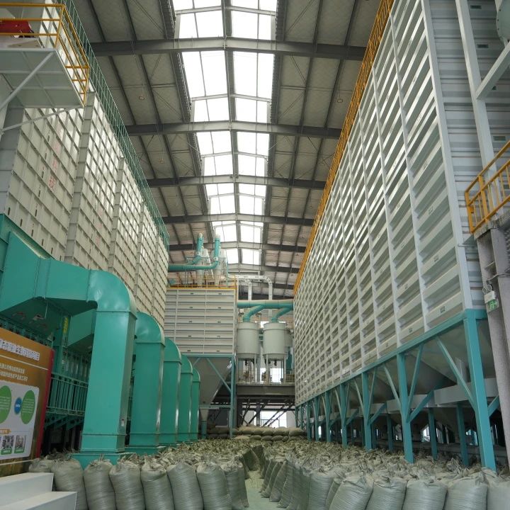 精品久久久久久无码人妻