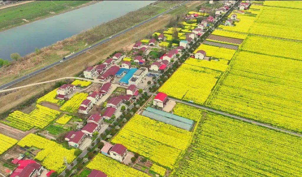 精品久久久久久无码人妻