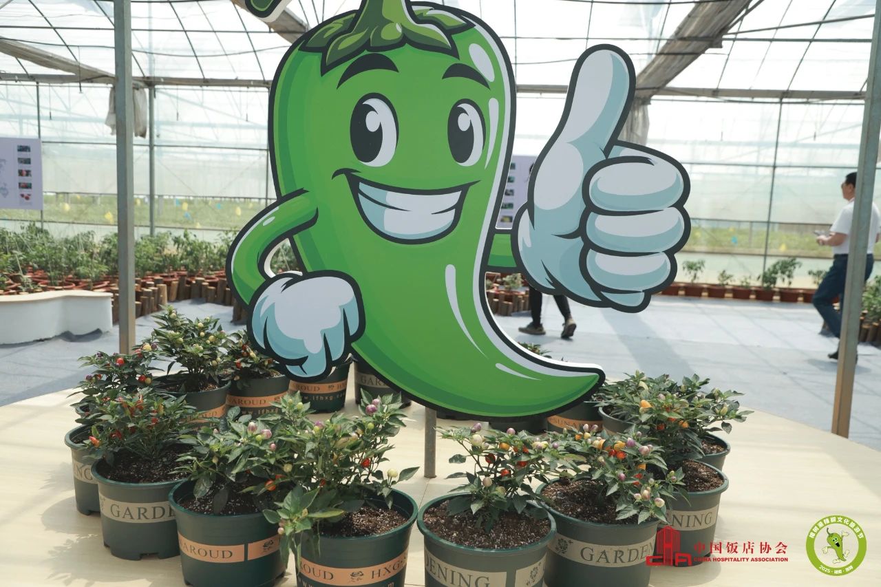 精品久久久久久无码人妻