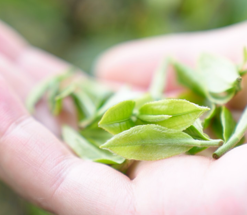 精品久久久久久无码人妻