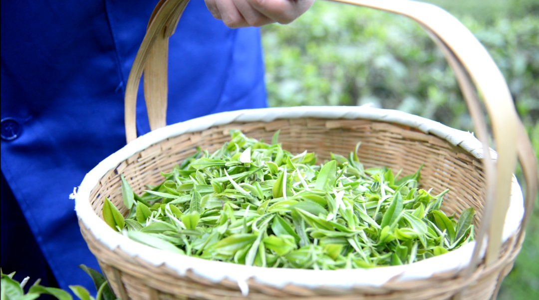 精品久久久久久无码人妻