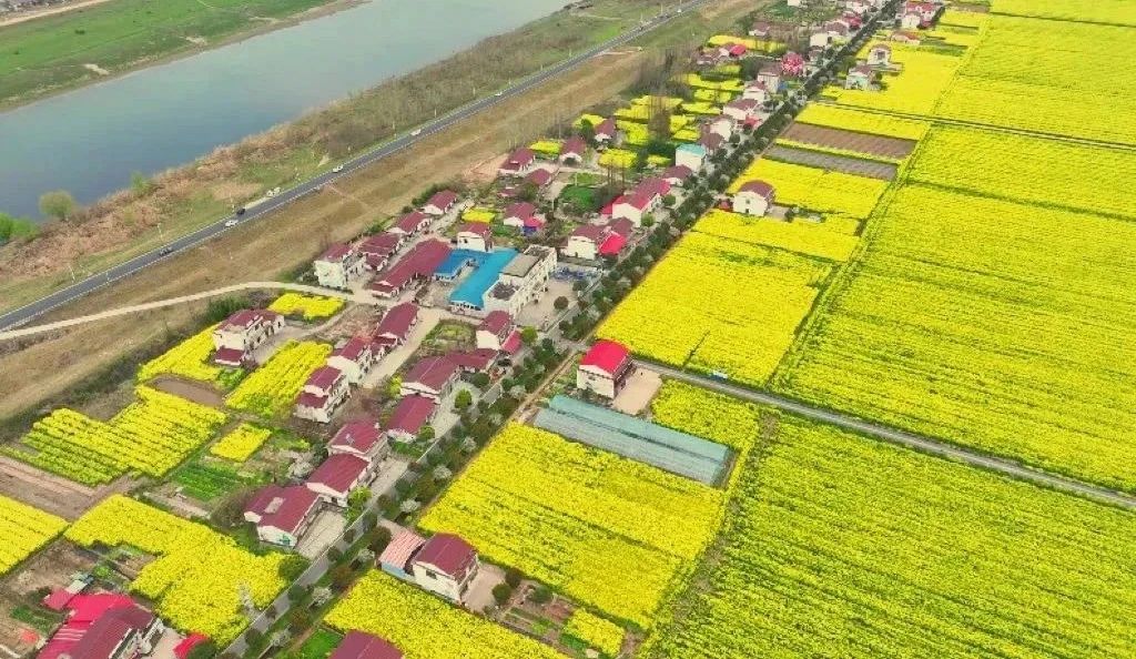 精品久久久久久无码人妻