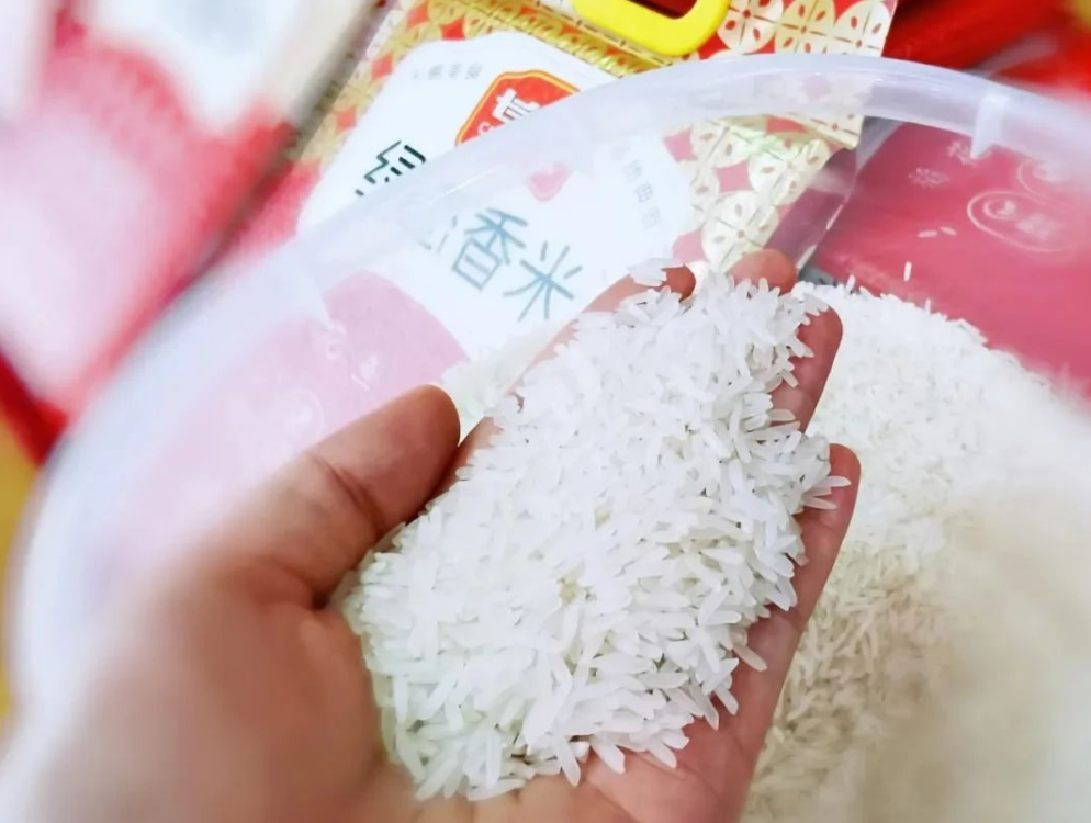 精品久久久久久无码人妻