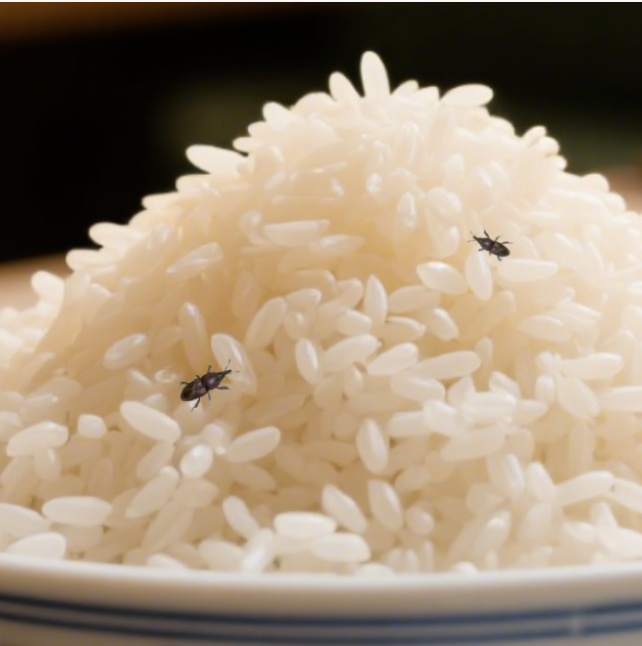 精品久久久久久无码人妻