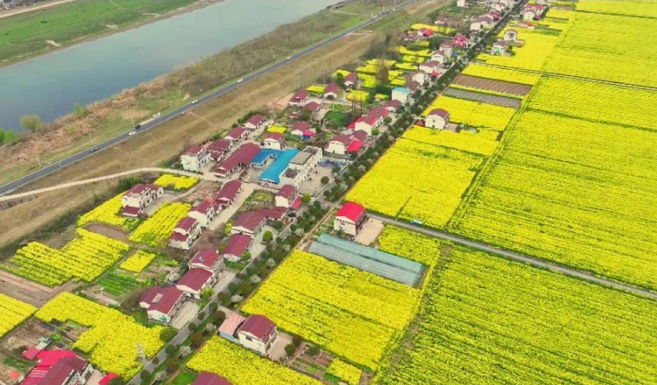 精品久久久久久无码人妻