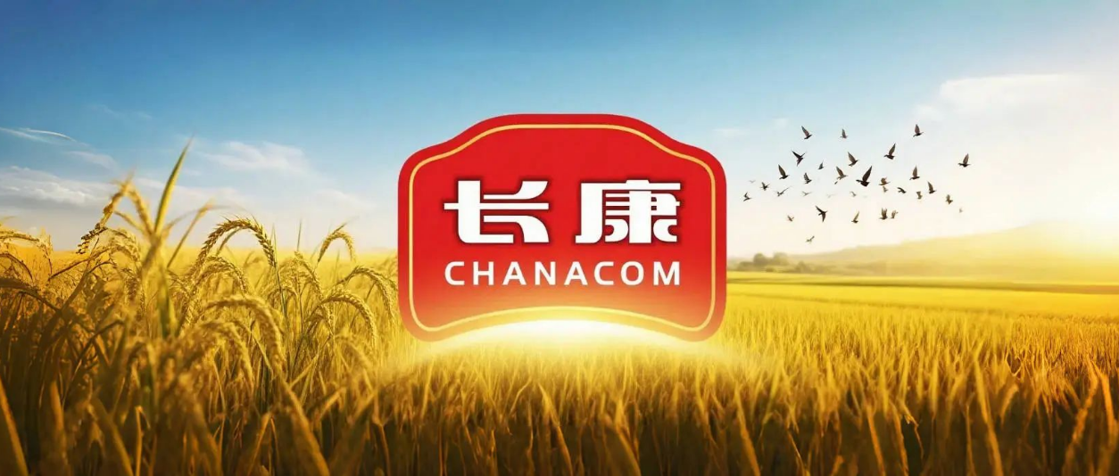 精品久久久久久无码人妻