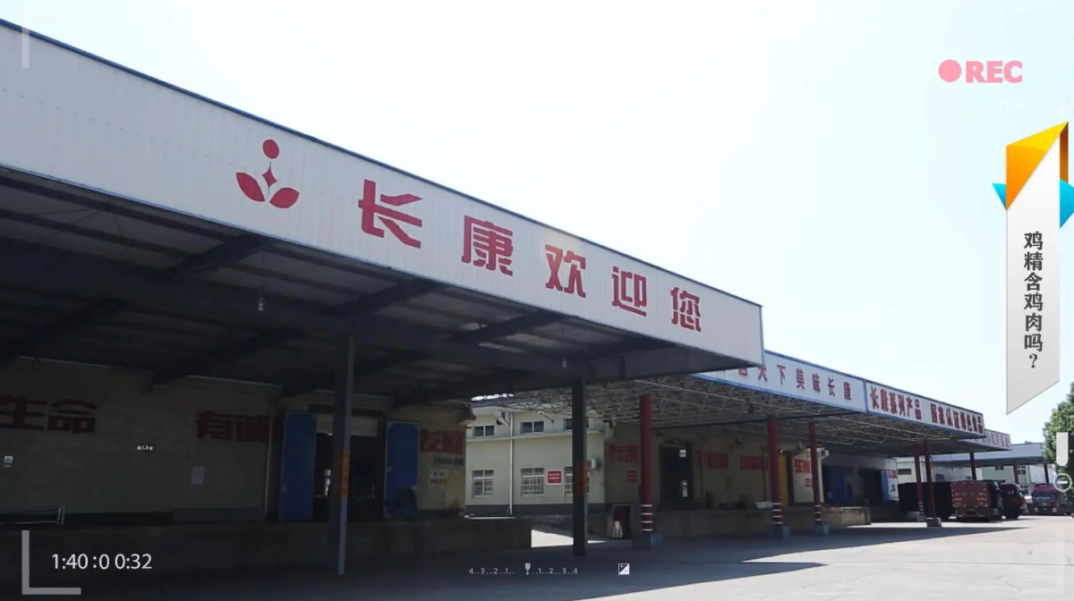 精品久久久久久无码人妻